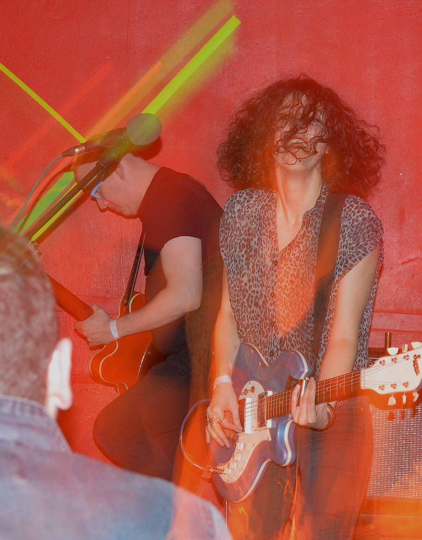 Gallinago Gallinago 0214 10