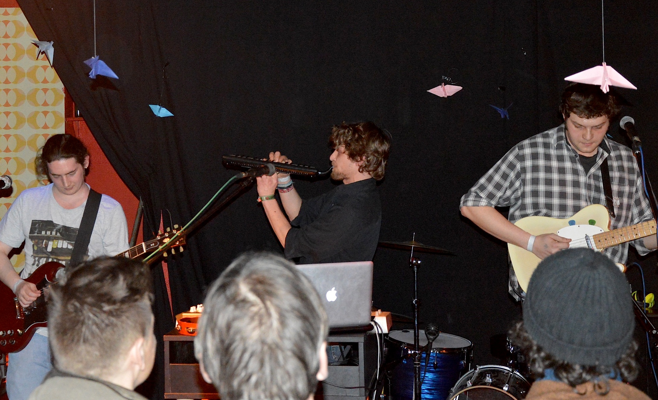 Gallinago Gallinago 0214 16