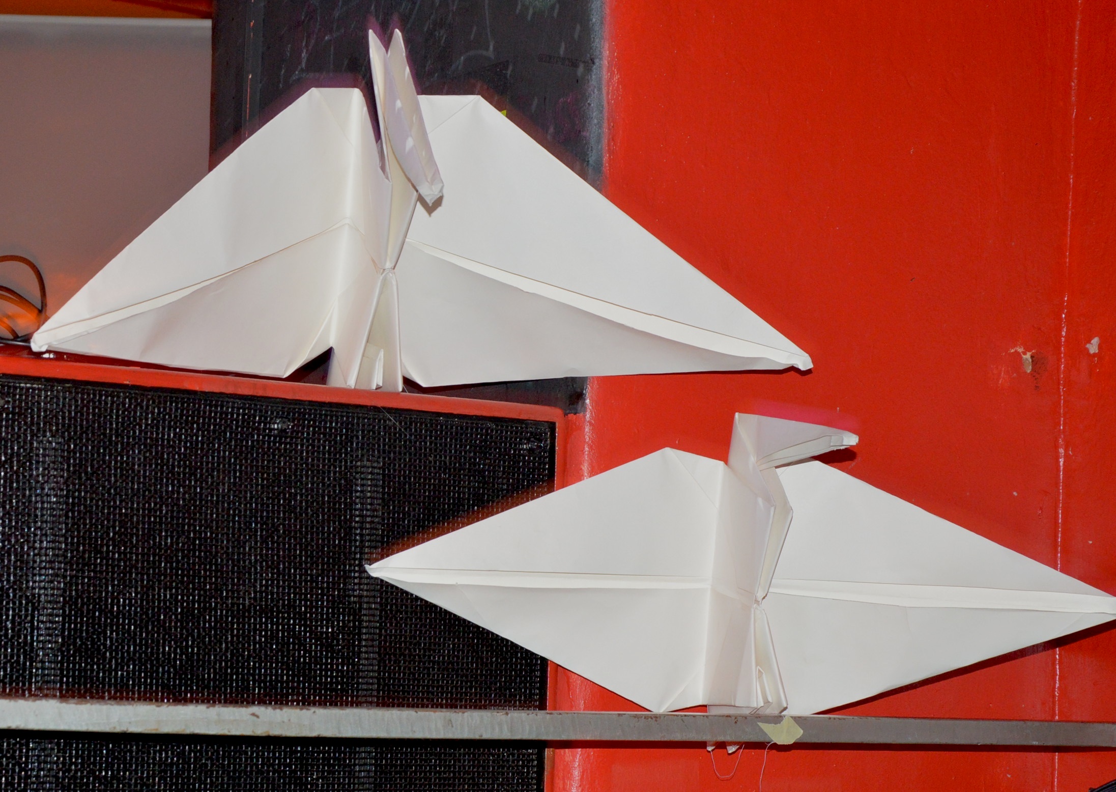 Gallinago Gallinago 0214 2