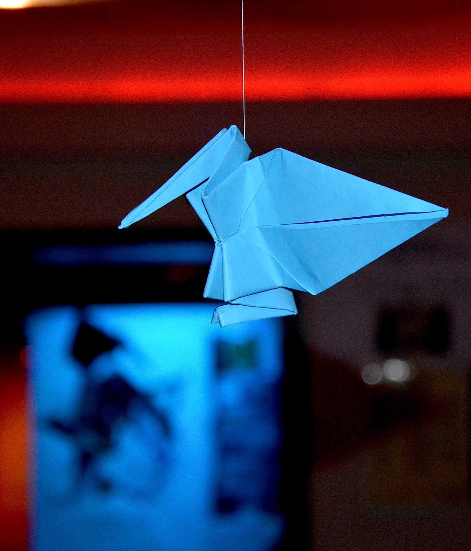 Gallinago Gallinago 0214 20