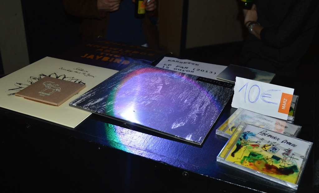 Gallinago Gallinago 0214 21