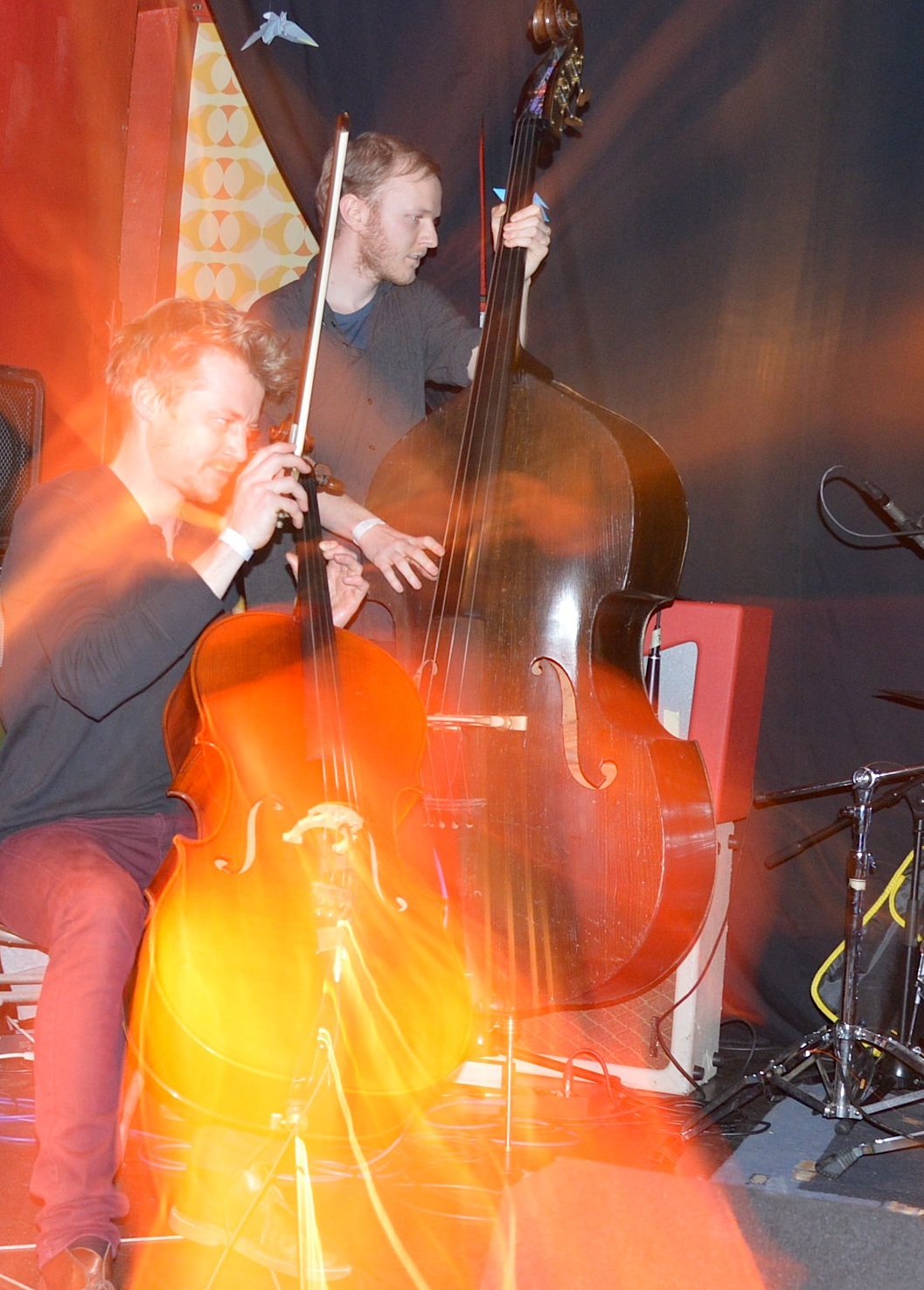 Gallinago Gallinago 0214 5