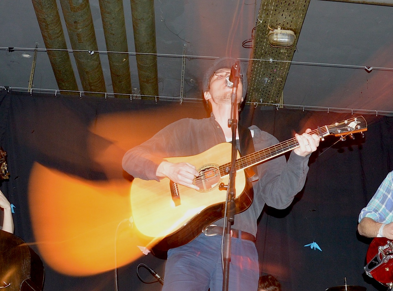 Gallinago Gallinago 0214 6