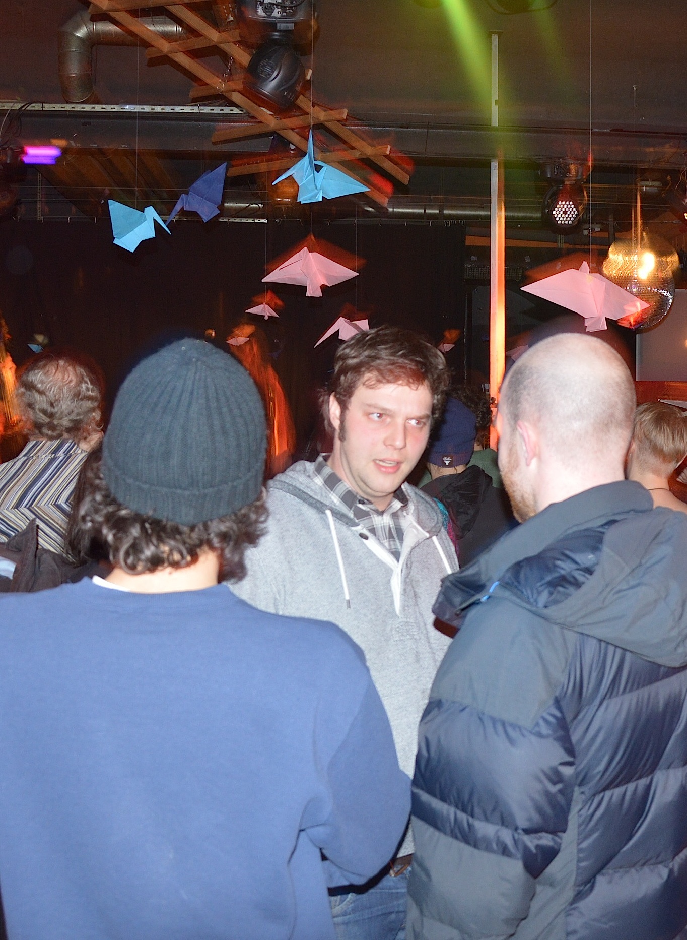 Gallinago Gallinago 0214 9