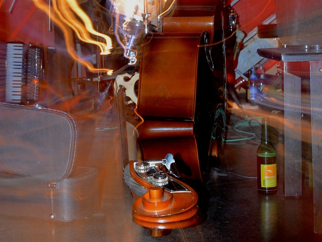 GallinagGallinago0314 13