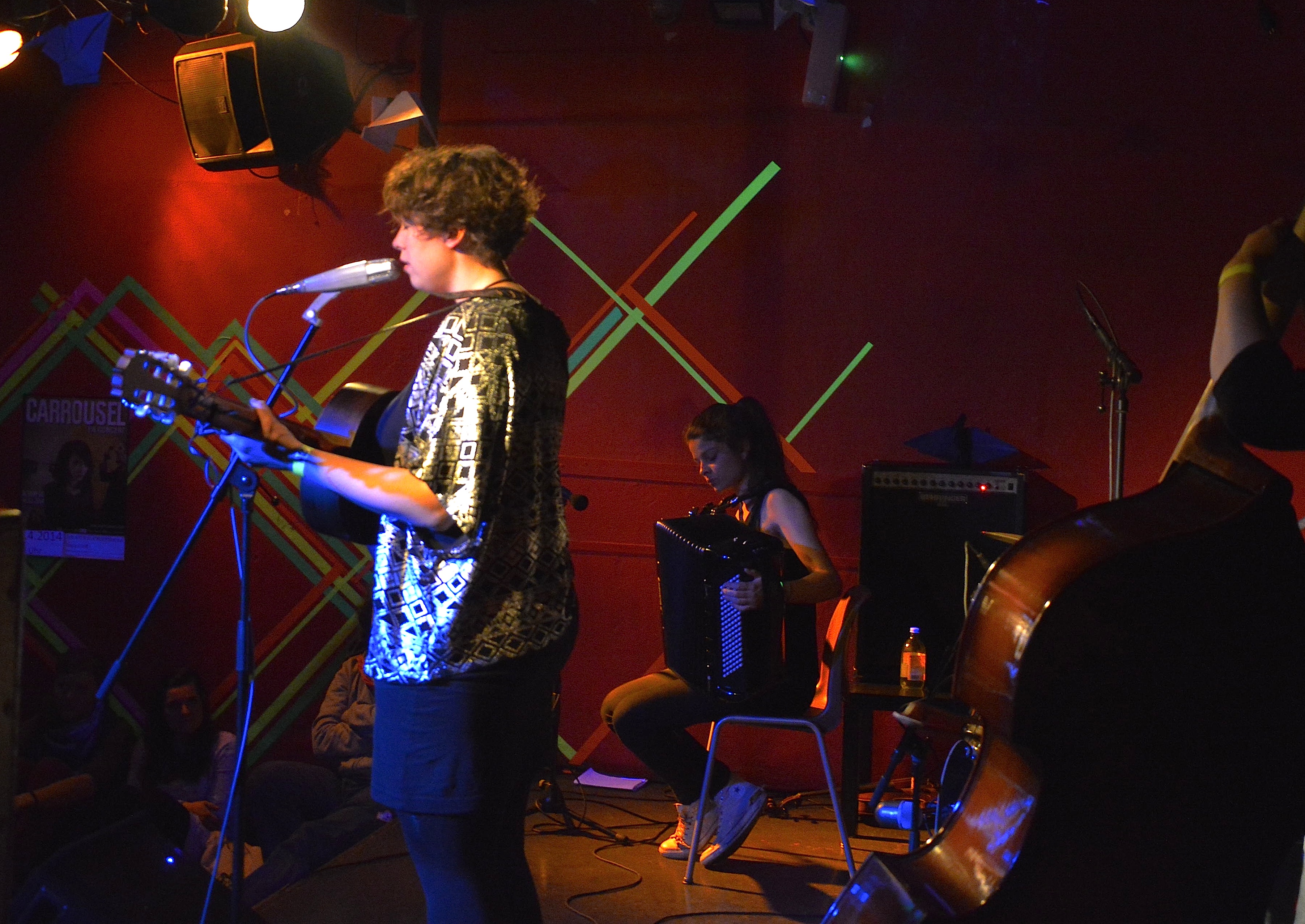 GallinagGallinago0314 7