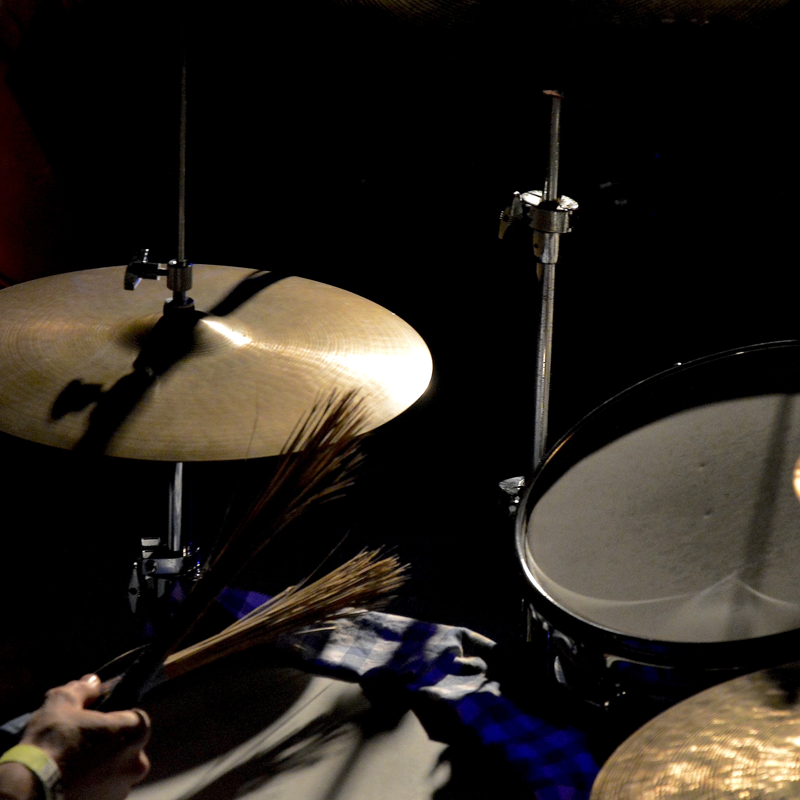 GallinagGallinago0314 9